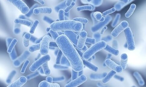 žmogaus organizme esančios bakterijos