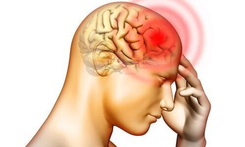 žmogaus smegenyse esantys endoparazitai